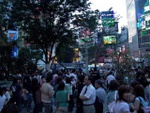 p1010858.jpg