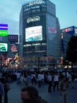 p1010860.jpg