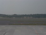 p1010870.jpg