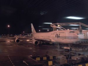 JAL plane