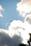 dsc_0646.jpg