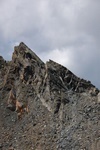 dsc_0978.jpg