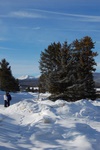 dsc_0035.jpg