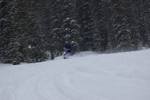 dsc_0082.jpg
