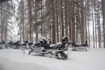 dsc_0113.jpg