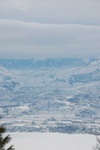dsc_1175.jpg