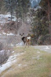 dsc_1189.jpg