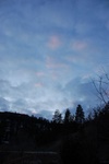 dsc_1217.jpg