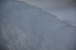 dsc_1250.jpg