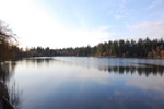 dsc_1318.jpg
