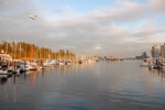 dsc_1391.jpg