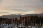 dsc_1405.jpg