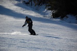 dsc_1502.jpg