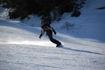 dsc_1503.jpg