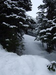 dscf1919.jpg