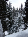 dscf1921.jpg