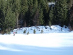 dscf2160.jpg