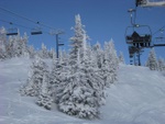 dscf3307.jpg
