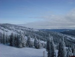 dscf3308.jpg