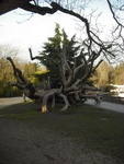 dscf3344.jpg