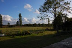 dsc_3093.jpg