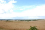 dsc_3126.jpg