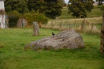 dsc_3141.jpg