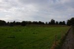 dsc_3146.jpg