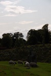 dsc_3149.jpg