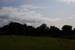 dsc_3150.jpg