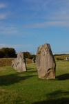 dsc_3153.jpg