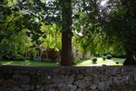 dsc_3155.jpg
