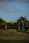 dsc_3165.jpg