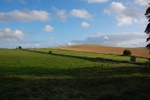 dsc_3172.jpg
