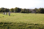 dsc_3176.jpg