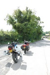 dsc_3192.jpg