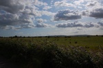 dsc_3198.jpg