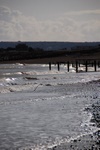 dsc_3219.jpg