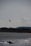 dsc_3220.jpg