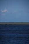 dsc_3229.jpg