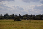 dsc_3234.jpg