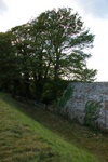 dsc_3247.jpg