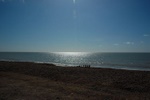 dsc_3296.jpg