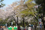 dsc_3752.jpg