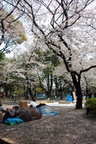 dsc_3756.jpg