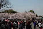dsc_3825.jpg