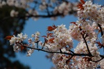 dsc_3849.jpg