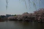 dsc_3863.jpg