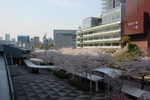 dsc_3877.jpg
