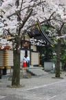dsc_3962.jpg